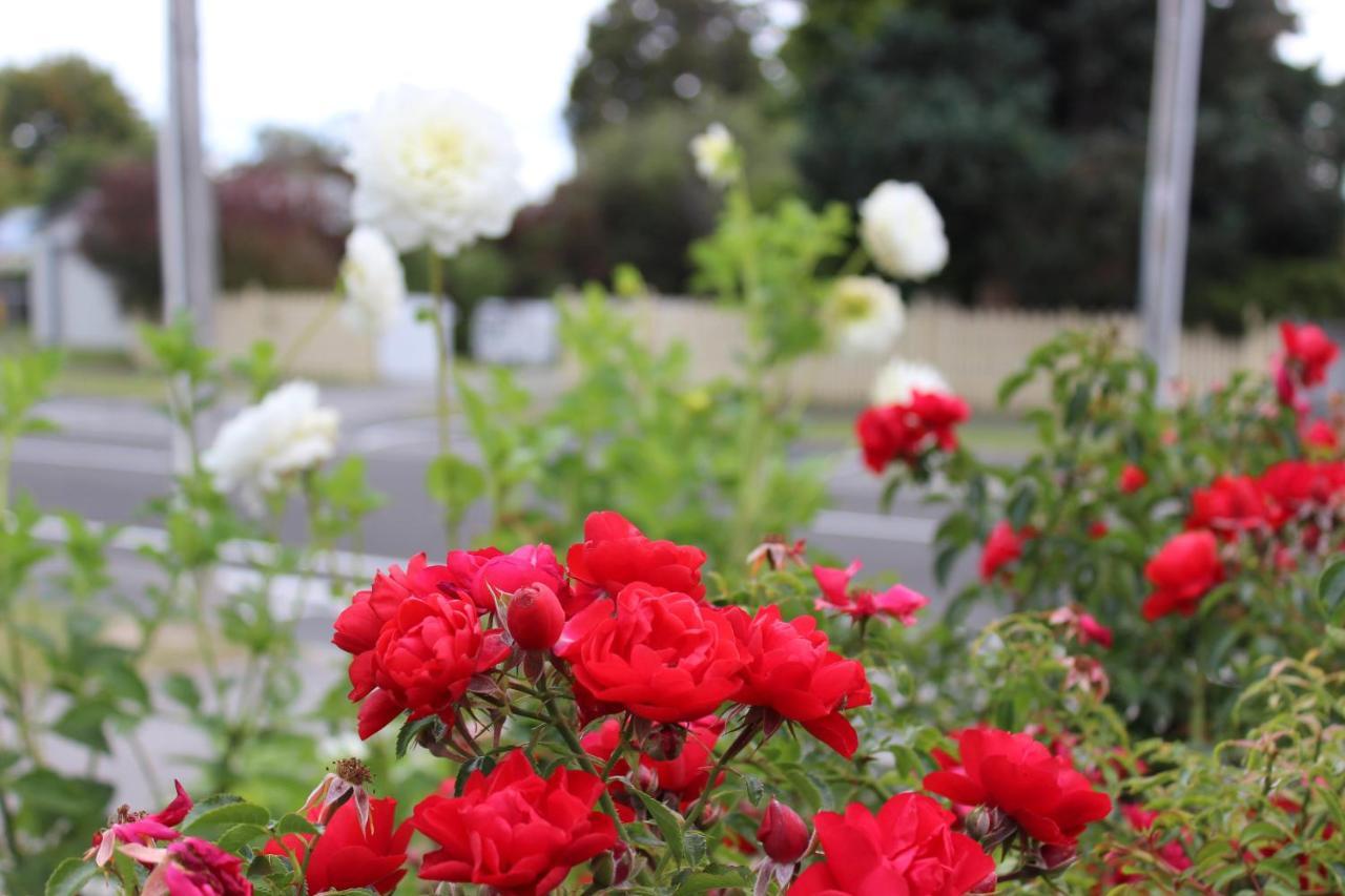 Bram'S Bach Villa Taupo Exterior photo